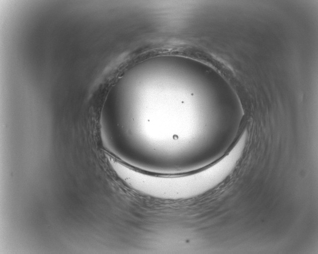 X0000066941447200603271125