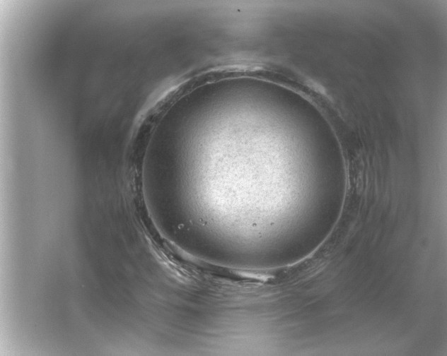 X0000066941448200603271124