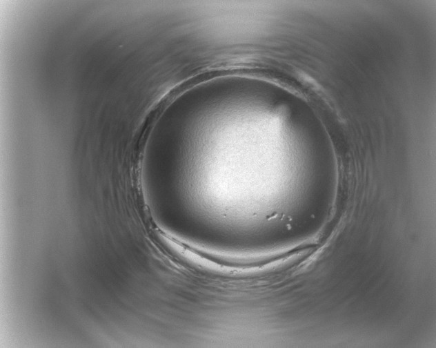 X0000066941449200603271124