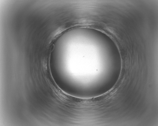 X0000066941451200603271124