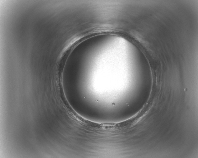 X0000066941453200603271124