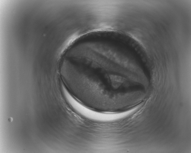 X0000066941455200603271124