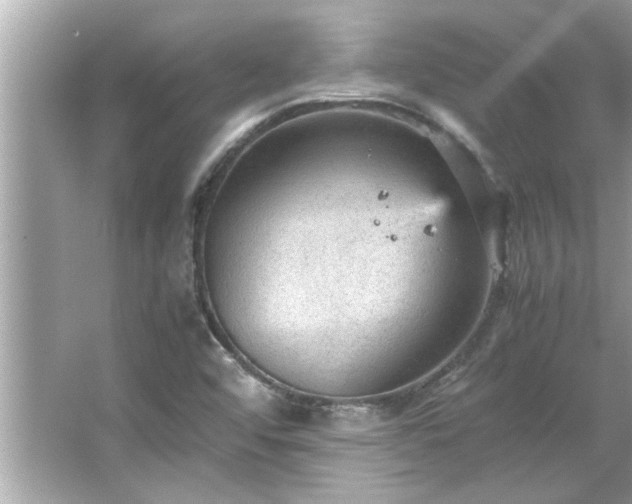 X0000066941456200603271124