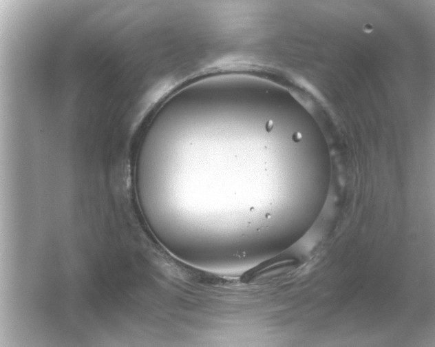 X0000066941461200603271124