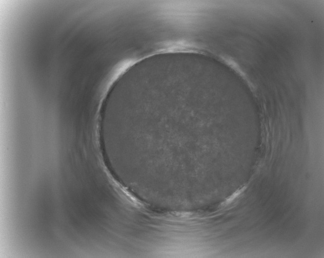 X0000066941463200603271124