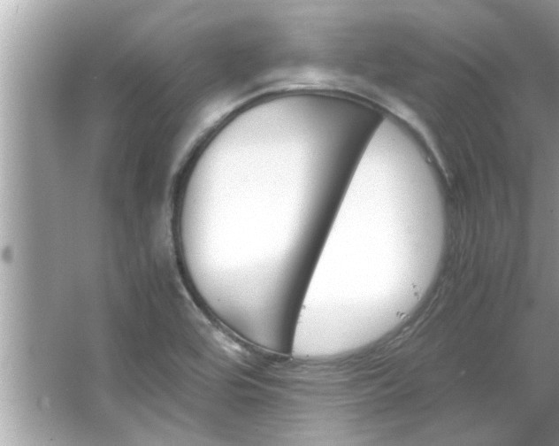 X0000066941464200603271124