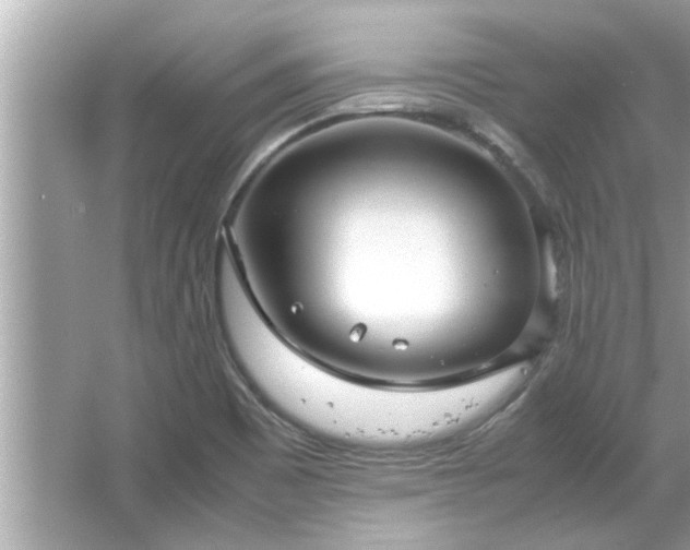 X0000066941465200603271124