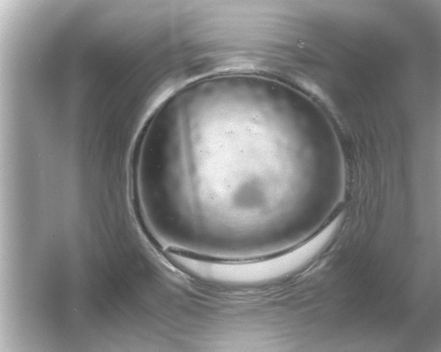 X0000066941467200603271124