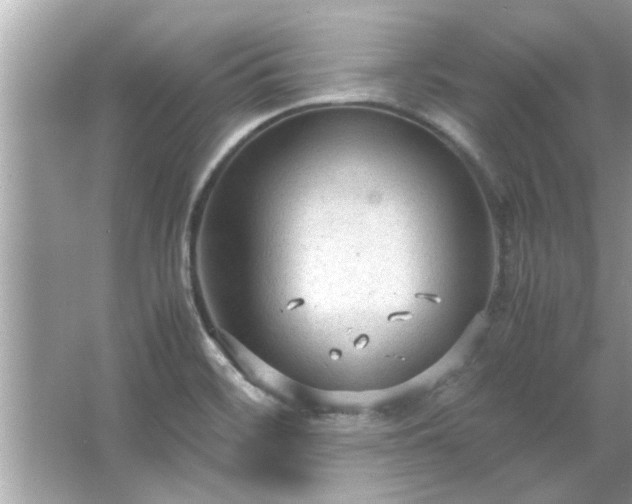 X0000066941468200603271124