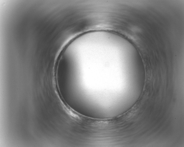 X0000066941470200603271124