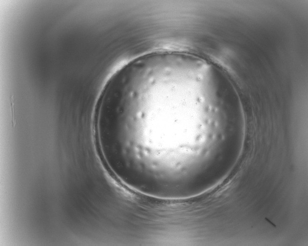 X0000066941471200603271124