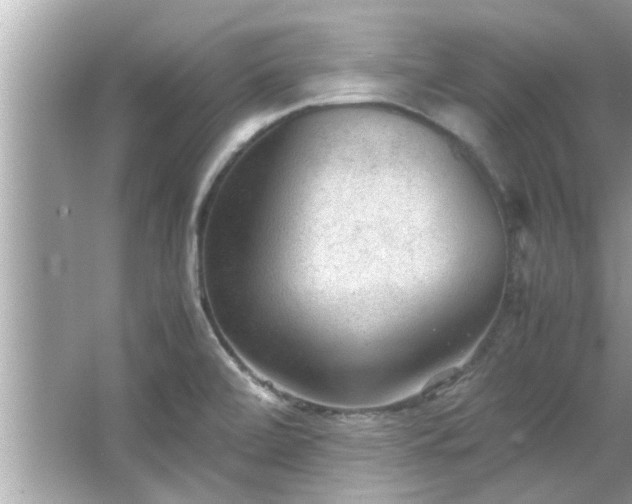 X0000066941472200603271124