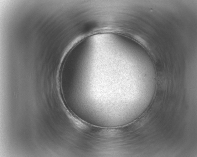 X0000066941474200603271124