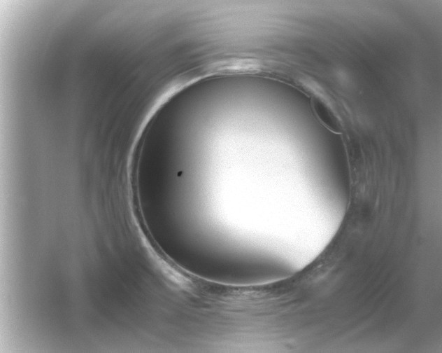 X0000066941475200603271124