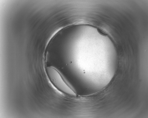 X0000066941476200603271124