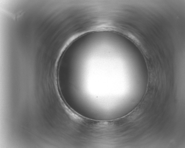 X0000066941478200603271124