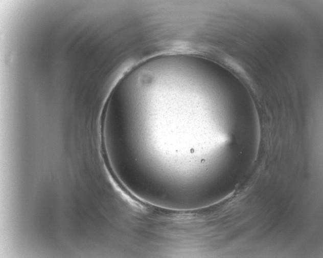 X0000066941479200603271124