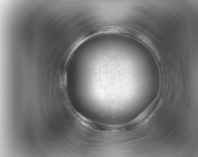 X0000066941481200603271124