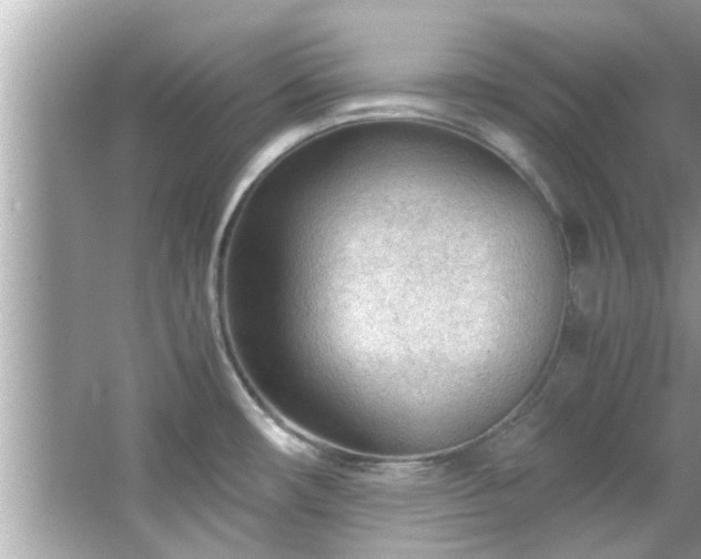 X0000066941482200603271124