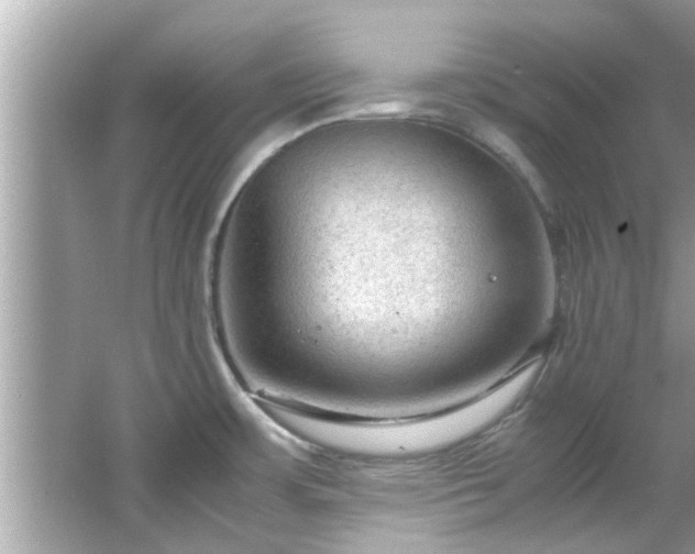 X0000066941483200603271124