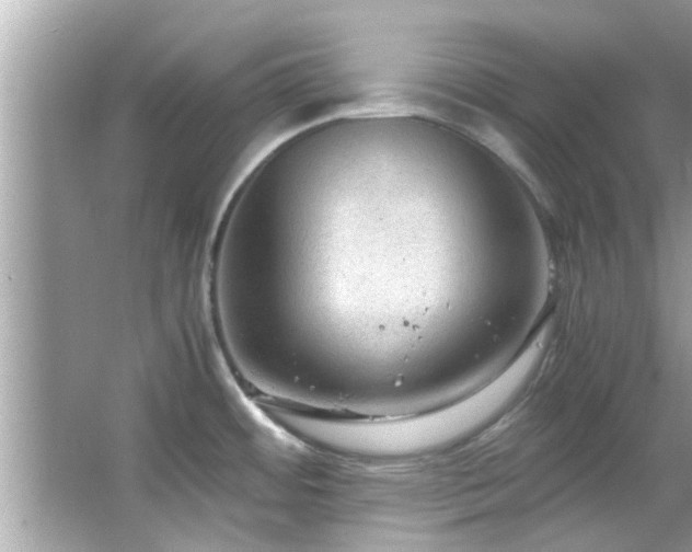 X0000066941484200603271124