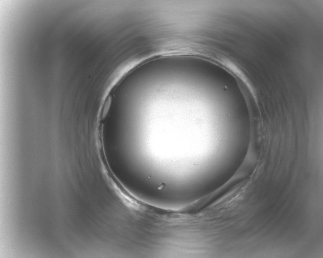 X0000066941485200603271124