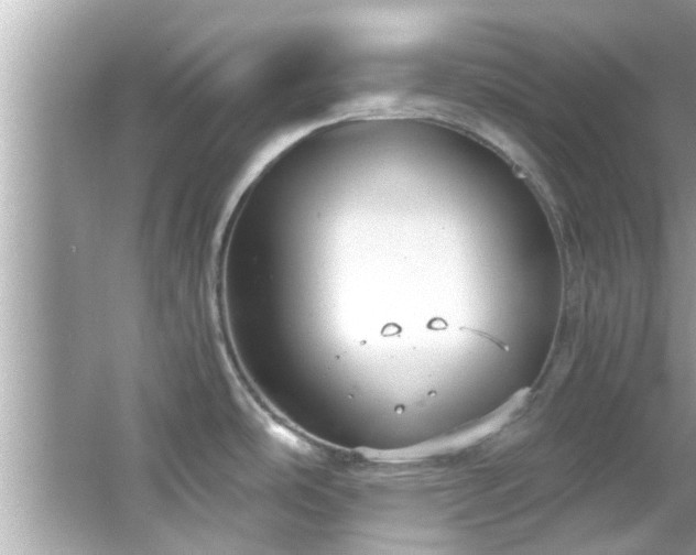 X0000066941486200603271124