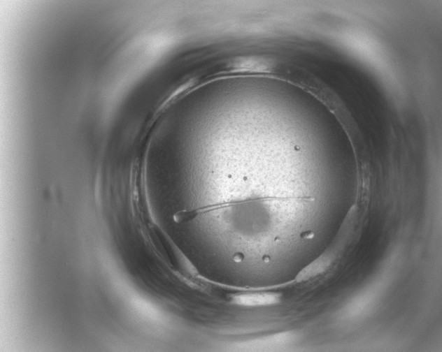 X0000066941487200603271124