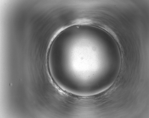 X0000066941488200603271124