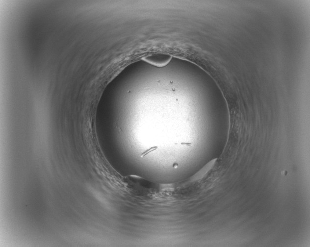 X0000066941489200603271123