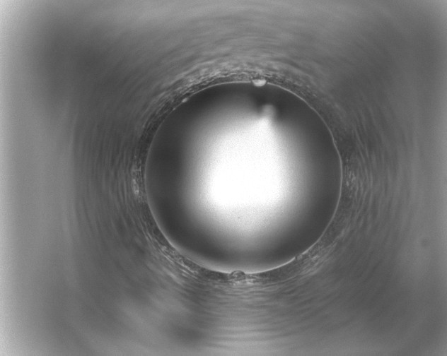 X0000066941490200603271123