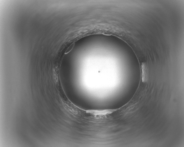 X0000066941491200603271123