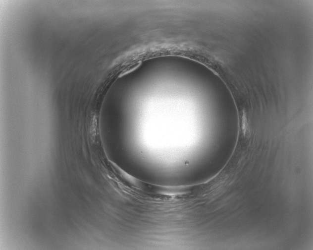 X0000066941492200603271123