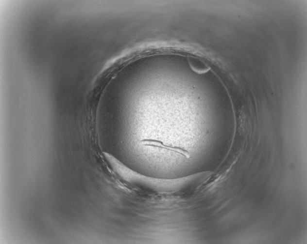 X0000066941494200603271123