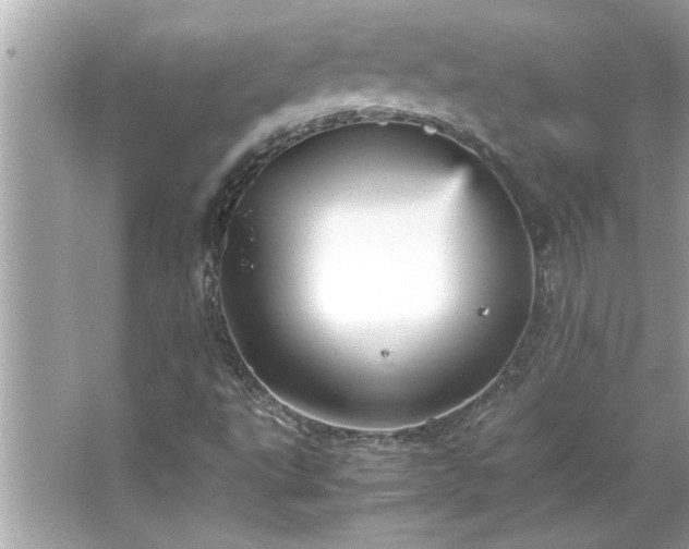 X0000066941495200603271123