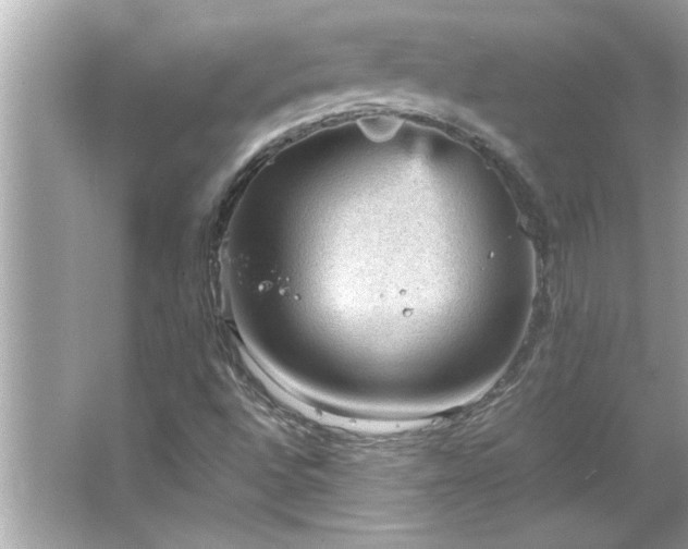 X0000066941496200603271123