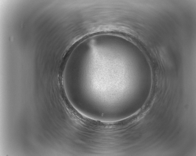 X0000066941497200603271123