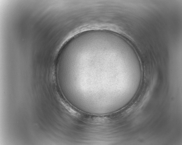 X0000066941498200603271123