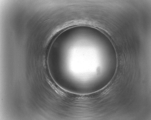 X0000066941499200603271123