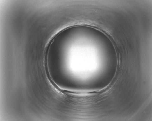 X0000066941500200603271123