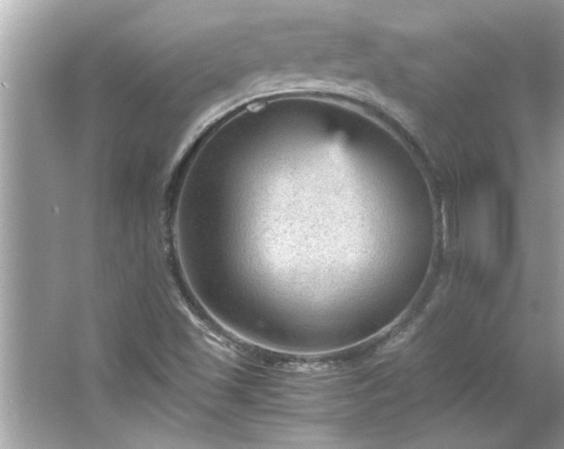 X0000066941501200603271123