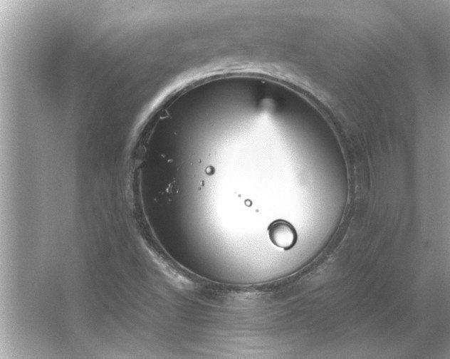 X0000066941502200603271123