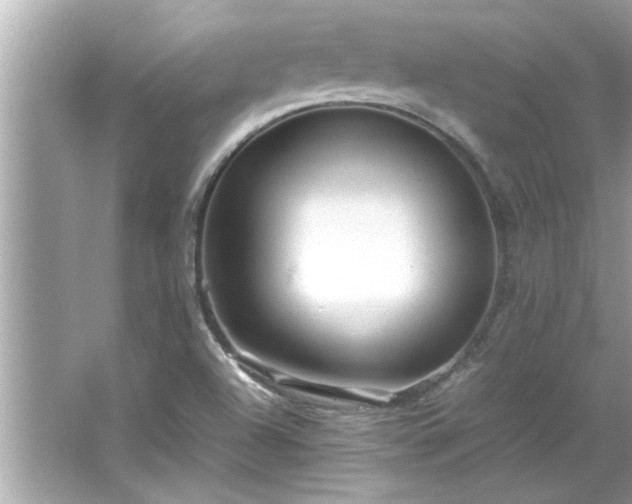 X0000066941504200603271123