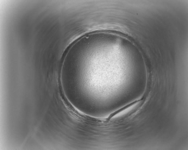 X0000066941505200603271123