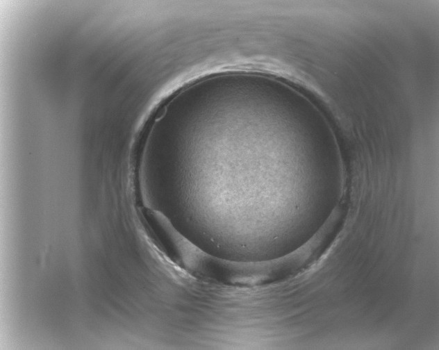 X0000066941506200603271123