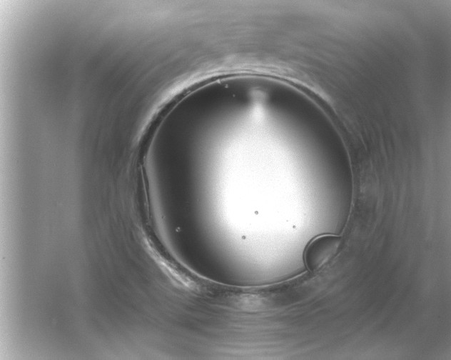 X0000066941507200603271123