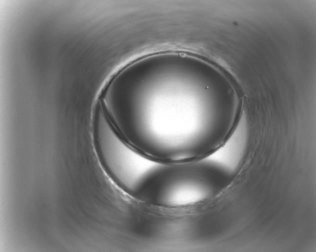 X0000066941508200603271123