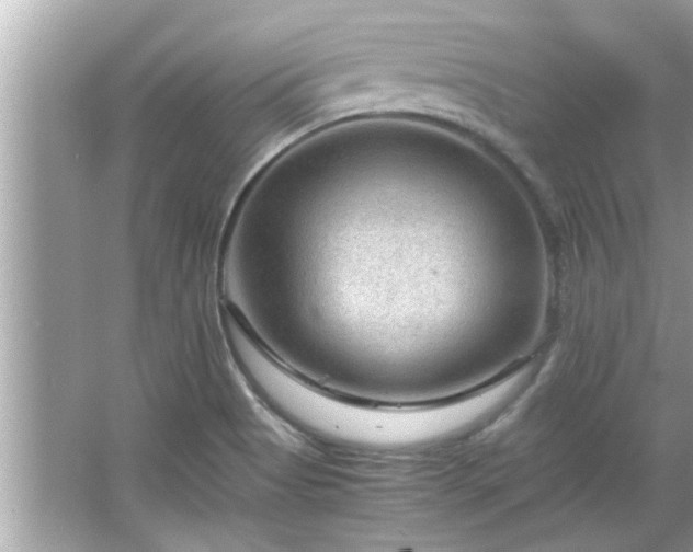 X0000066941513200603271123