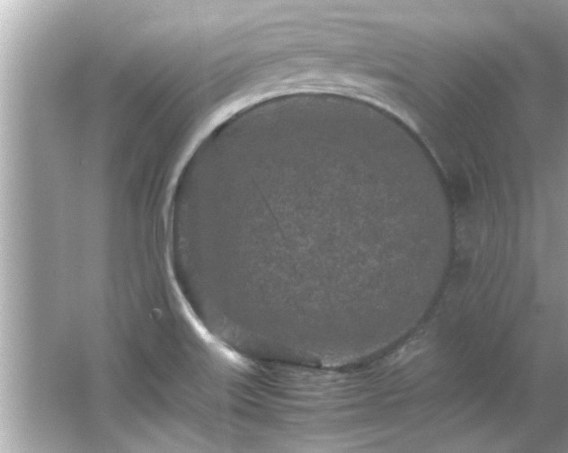 X0000066941515200603271123