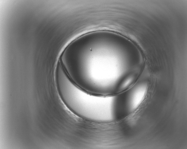 X0000066941516200603271123